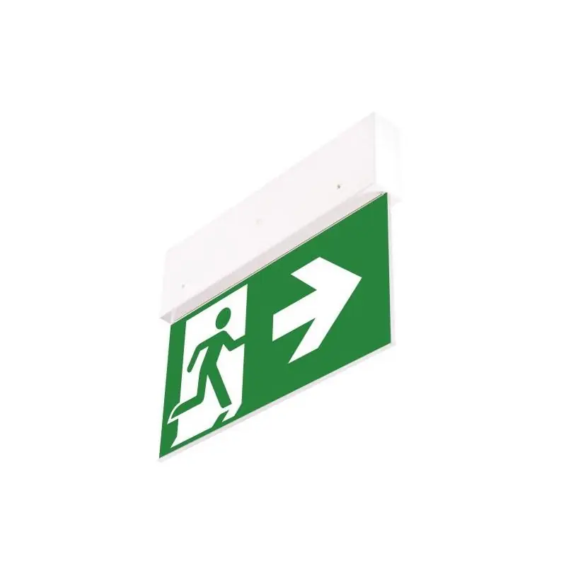 Oprawa ewakuacyjna Directo S CB + (VD3, VD4, VD5) - 90580 - Niska cena