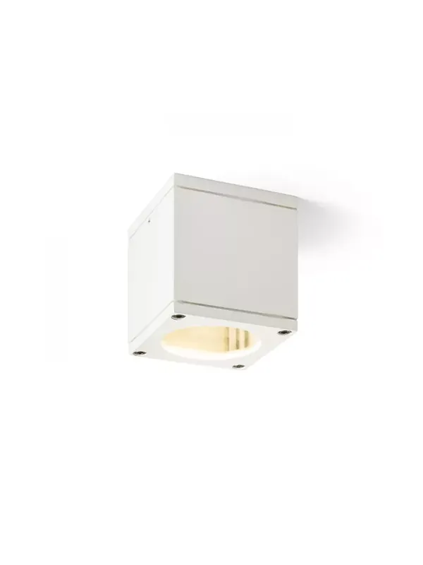 Ekspresowa wysyłka | RODGE sufitowa biała 230V GU10 35W IP54